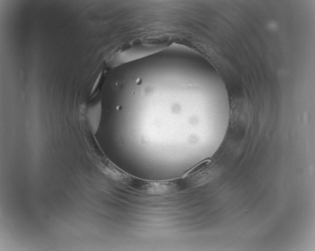 X0000075410623200609251046