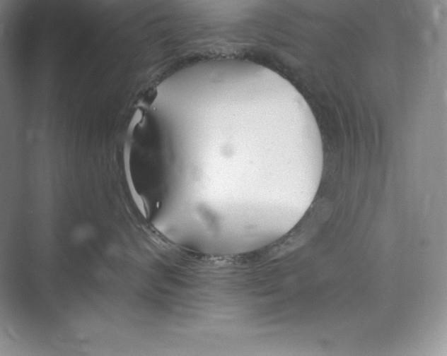 X0000075410624200609251046