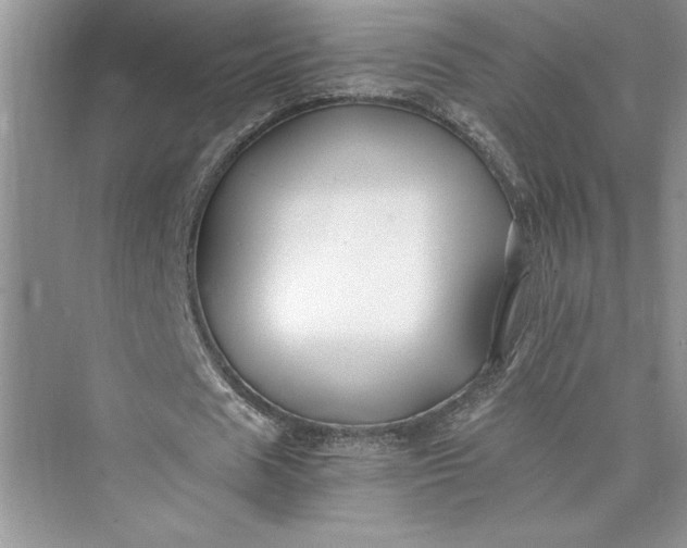 X0000075410625200609251045