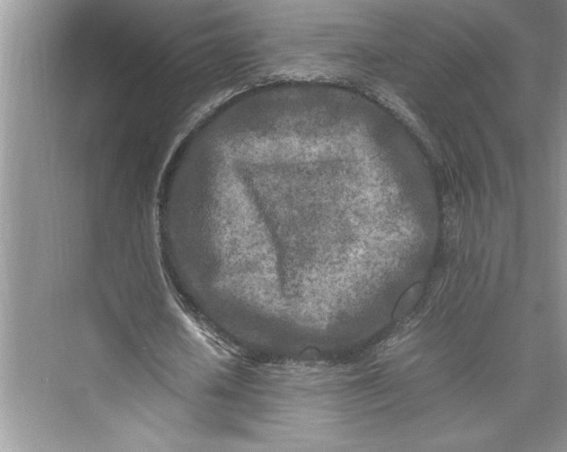 X0000075410626200609251045