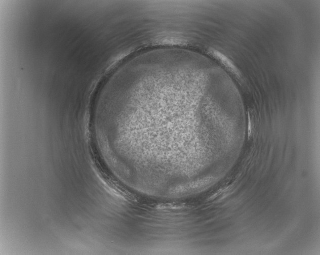 X0000075410627200609251045