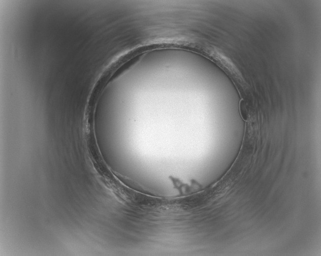 X0000075410628200609251045