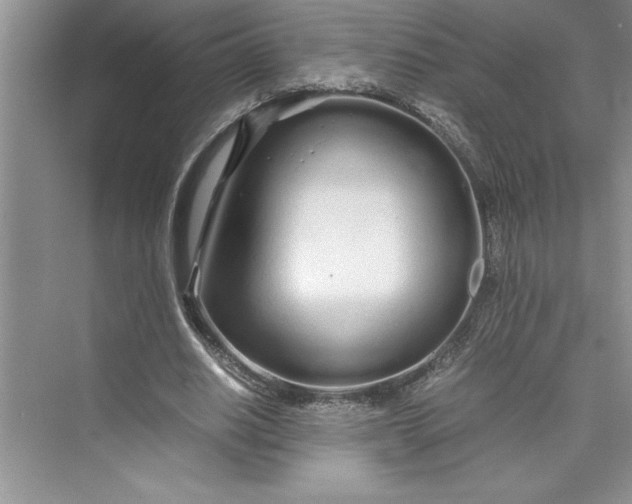 X0000075410630200609251045