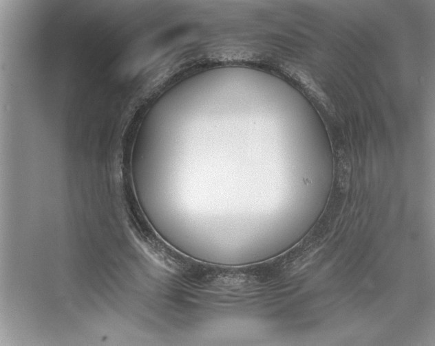 X0000075410631200609251045