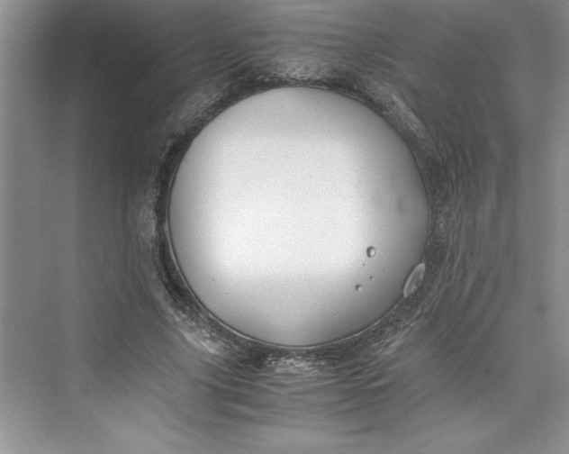 X0000075410635200609251045