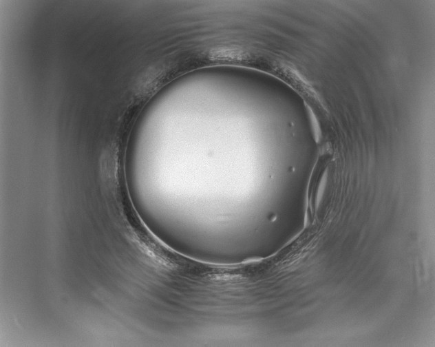 X0000075410637200609251045