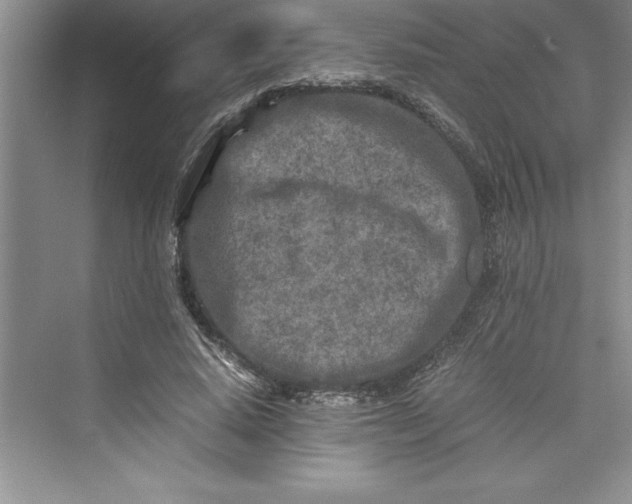 X0000075410640200609251045