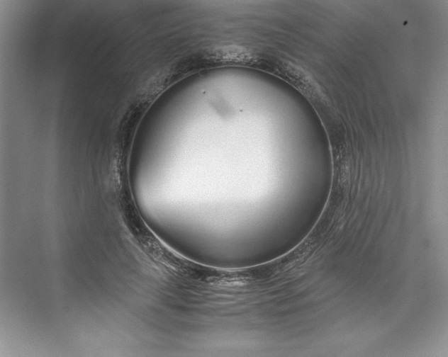 X0000075410643200609251045