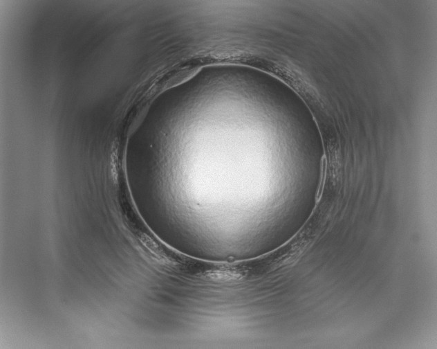 X0000075410644200609251045