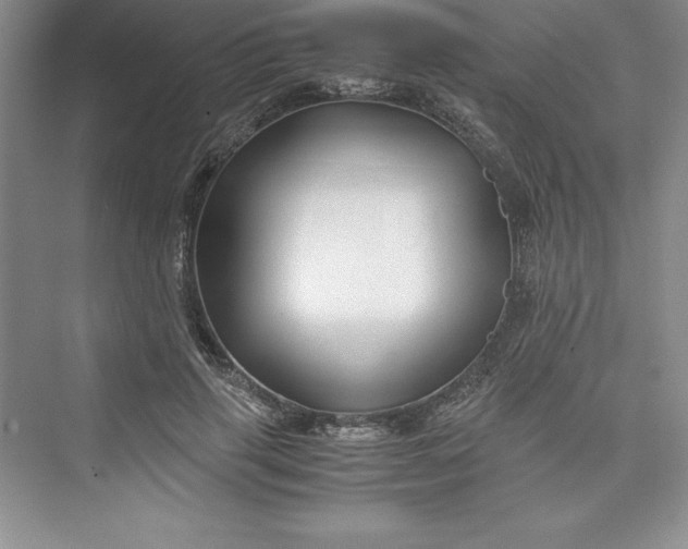 X0000075410645200609251045