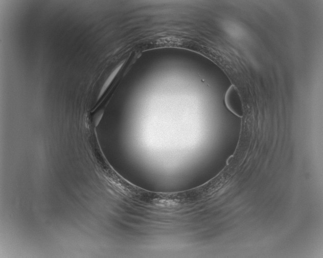 X0000075410649200609251045