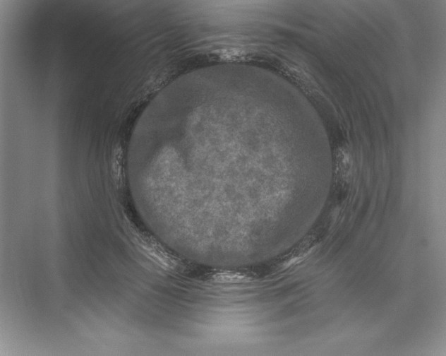 X0000075410650200609251045