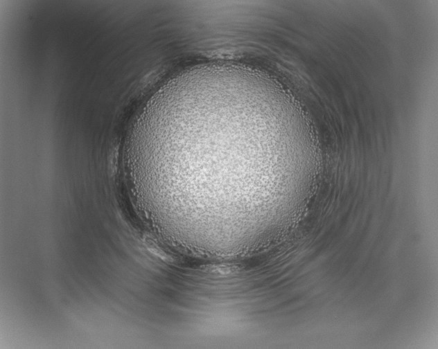 X0000075410652200609251045