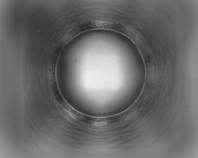 X0000075410653200609251045