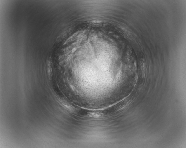 X0000075410654200609251045