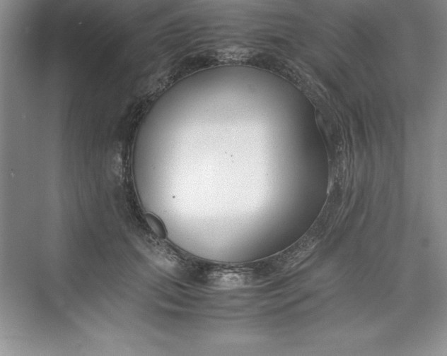 X0000075410655200609251046