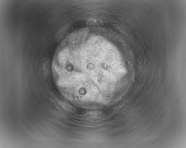 X0000075410659200609251046