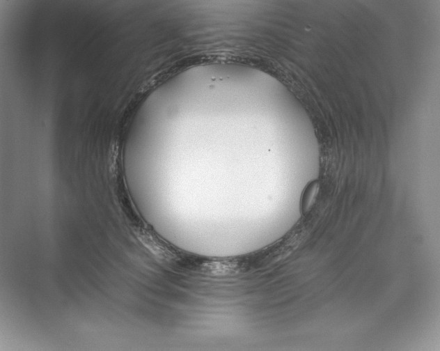 X0000075410660200609251046