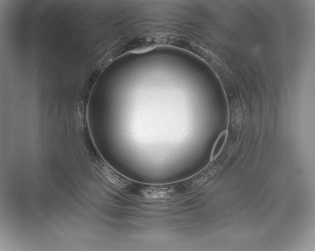 X0000075410661200609251046