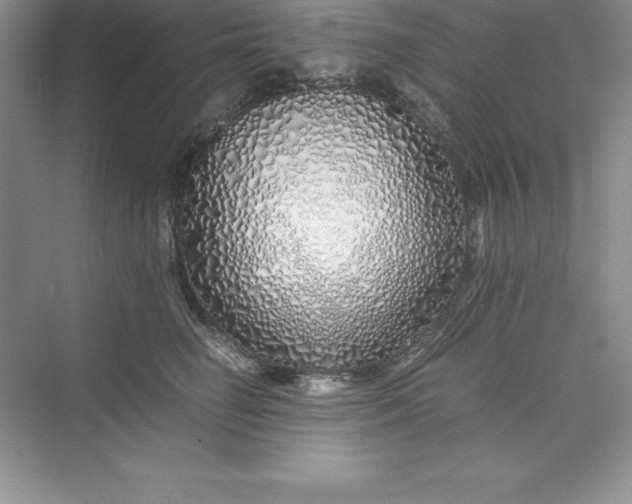 X0000075410662200609251046