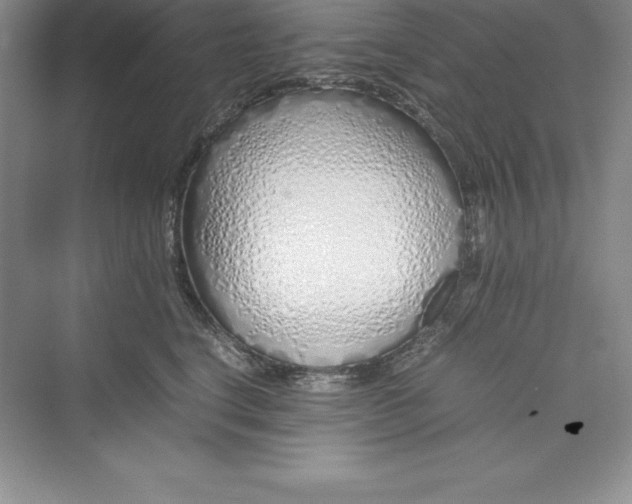 X0000075410664200609251046