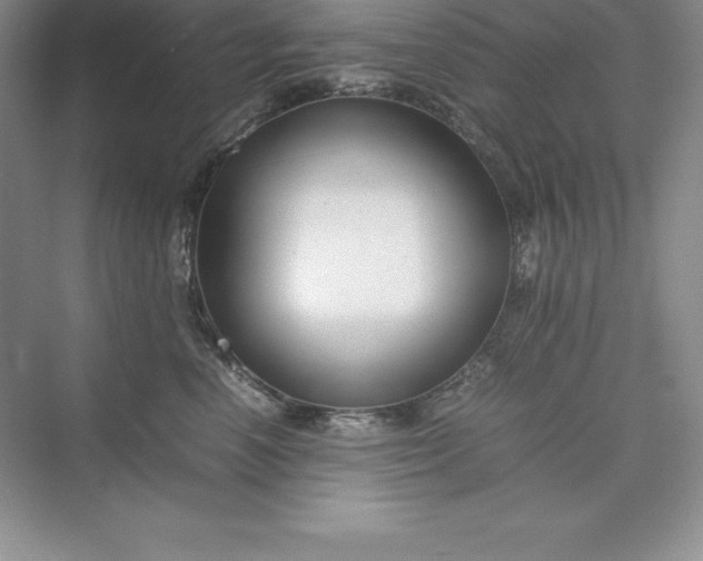 X0000075410666200609251046