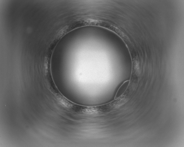 X0000075410668200609251046