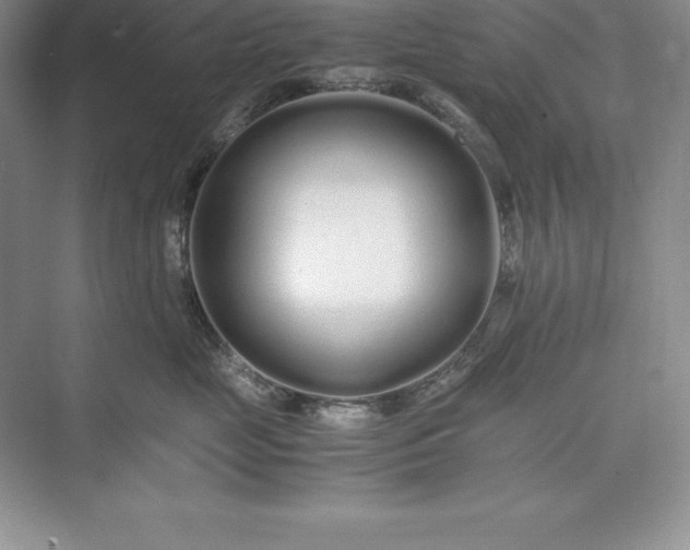 X0000075410669200609251046