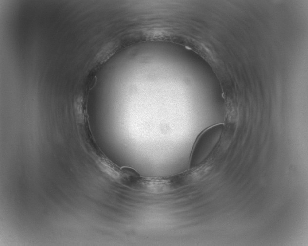 X0000075410670200609251046