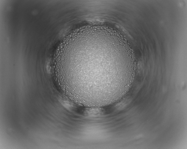 X0000075410671200609251046