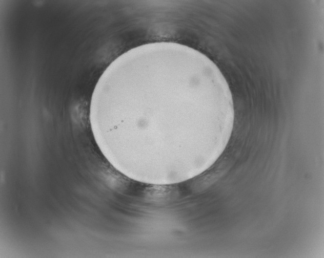 X0000075410672200609251046