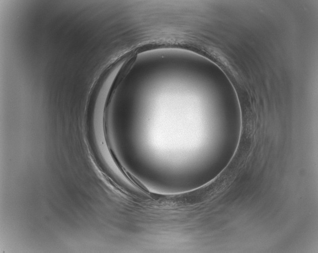 X0000075410677200609251045