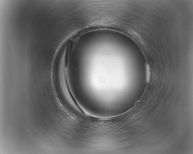 X0000075410680200609251045