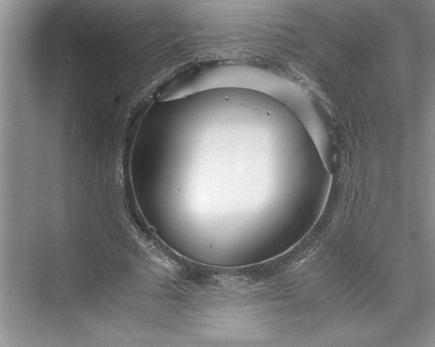 X0000075410681200609251045