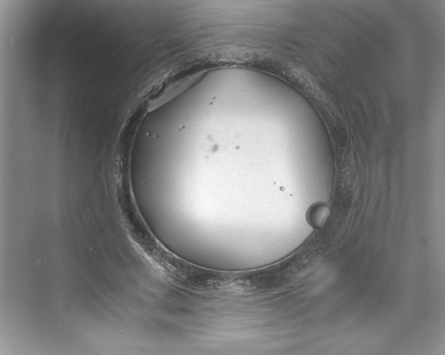 X0000075410683200609251045