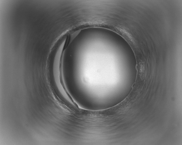 X0000075410684200609251045