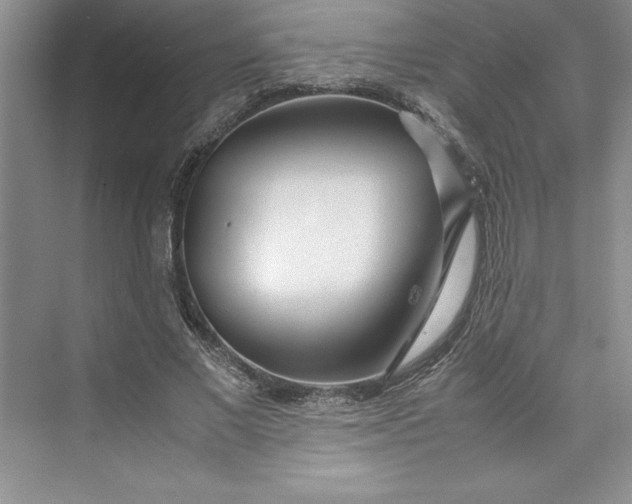 X0000075410685200609251045