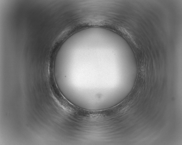 X0000075410686200609251045