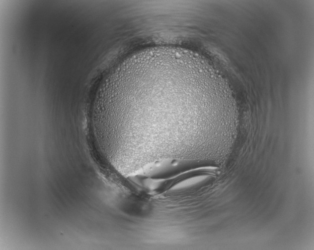 X0000075410687200609251045