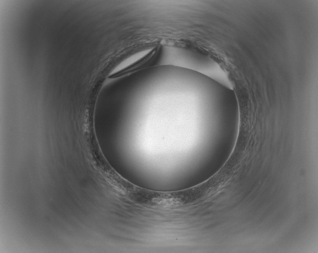 X0000075410689200609251045