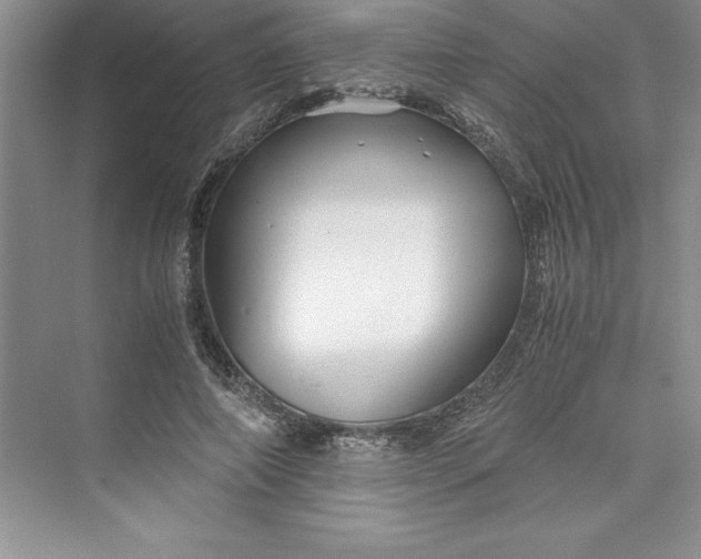 X0000075410690200609251045