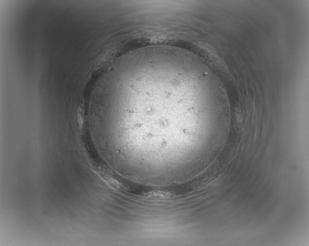 X0000075410691200609251045