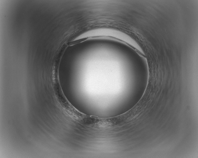 X0000075410696200609251045