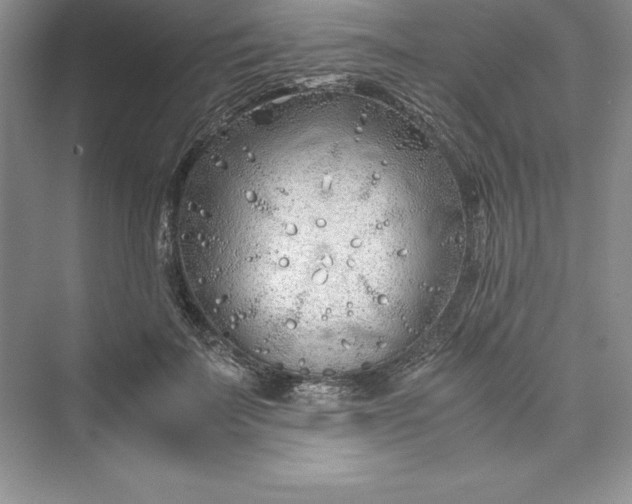 X0000075410699200609251045