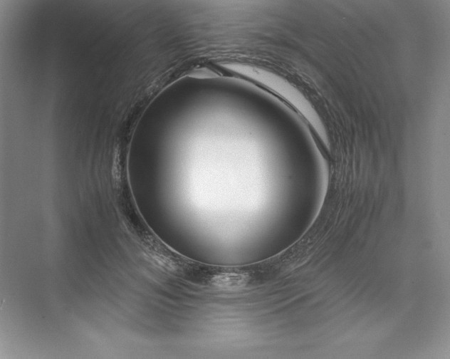 X0000075410700200609251045