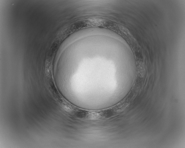 X0000075410701200609251045