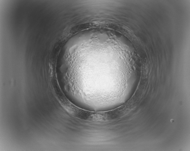 X0000075410703200609251044