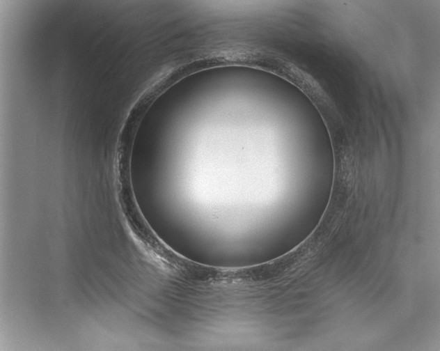 X0000075410730200609251044