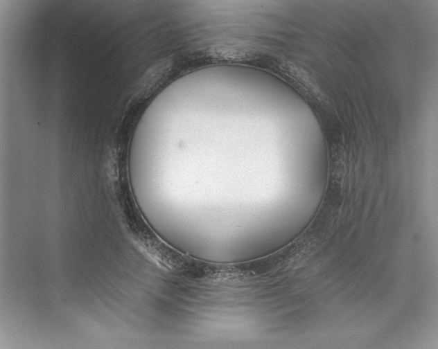 X0000075410738200609251044