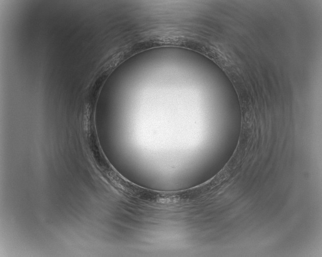 X0000075410744200609251044